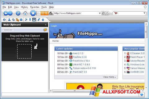 Posnetek zaslona Flock Windows XP