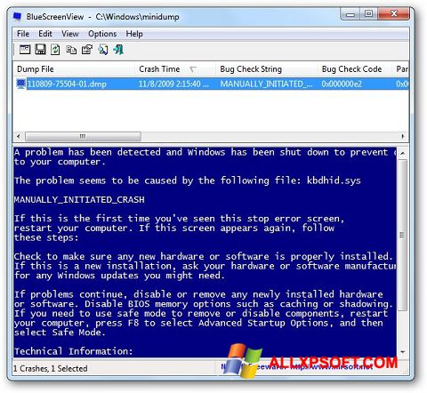 Posnetek zaslona BlueScreenView Windows XP