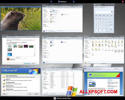 Posnetek zaslona Dexpot Windows XP