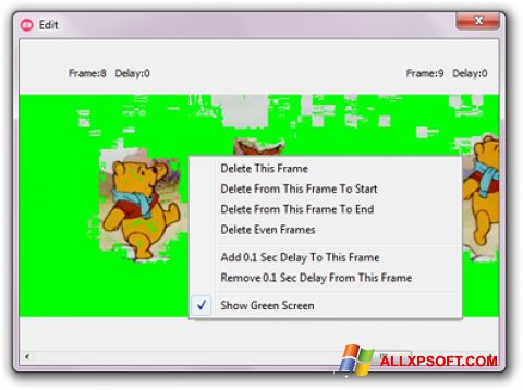 Posnetek zaslona GifCam Windows XP