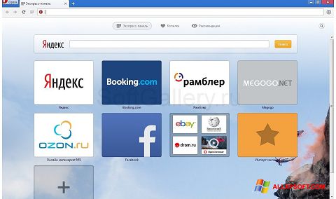 Posnetek zaslona Opera Next Windows XP