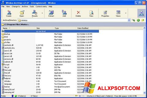 Posnetek zaslona WinAce Windows XP