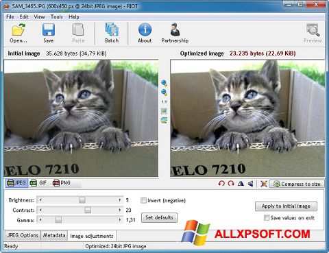 Posnetek zaslona RIOT Windows XP