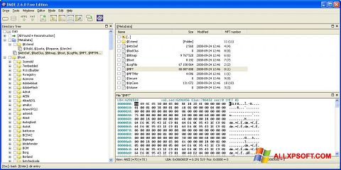 Posnetek zaslona DMDE Windows XP